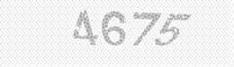 Visual security code — type the characters shown in the image